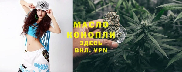 дмт Богородицк