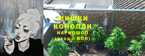 соль ск Богданович