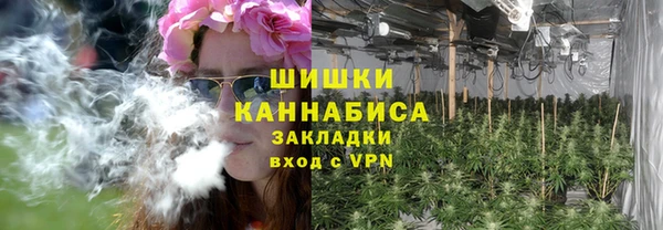 дмт Богородицк