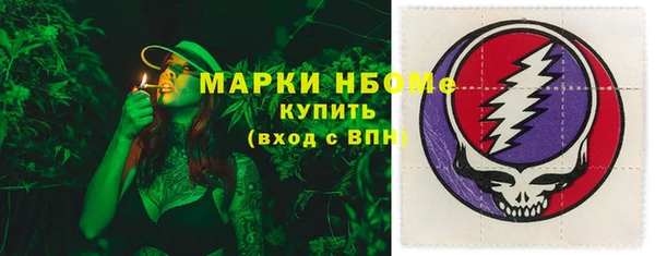 дмт Богородицк