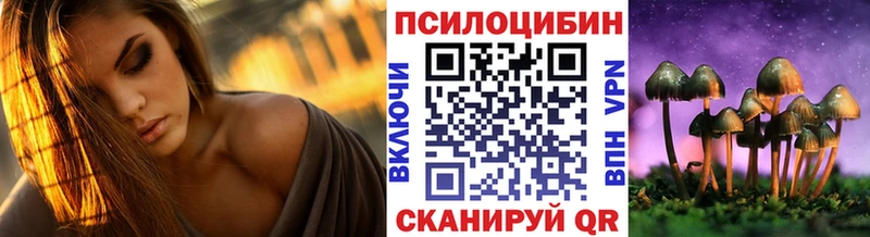 shop Telegram  Олёкминск  Псилоцибиновые грибы мицелий 